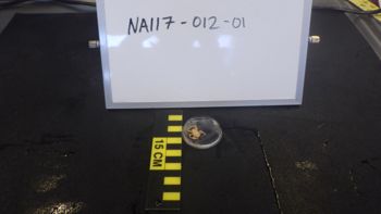 Media type: image;   Invertebrate Zoology 153106 Description: live specimen;